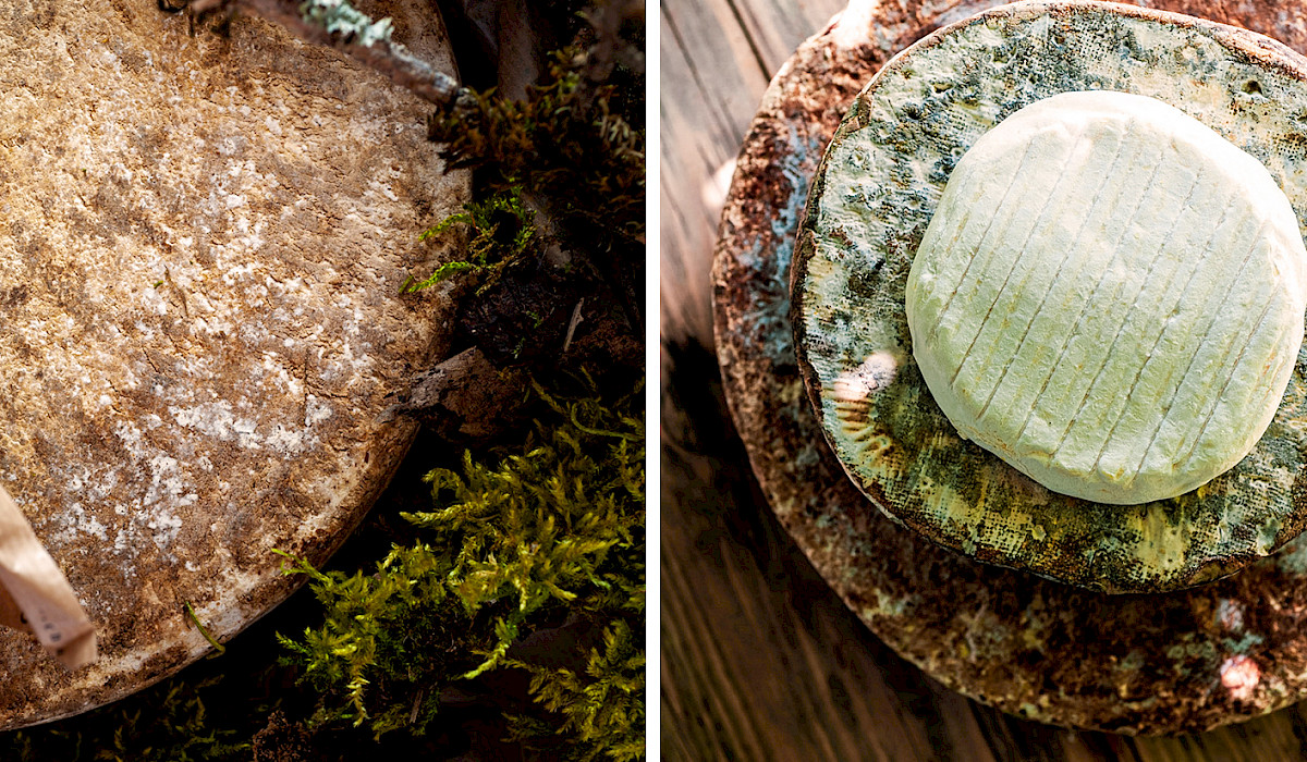 Zwei Stimmungsbilder mit Käse-Laiben aus Best-Of-Sortiment